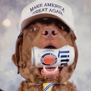 Meet your Posher, Colby